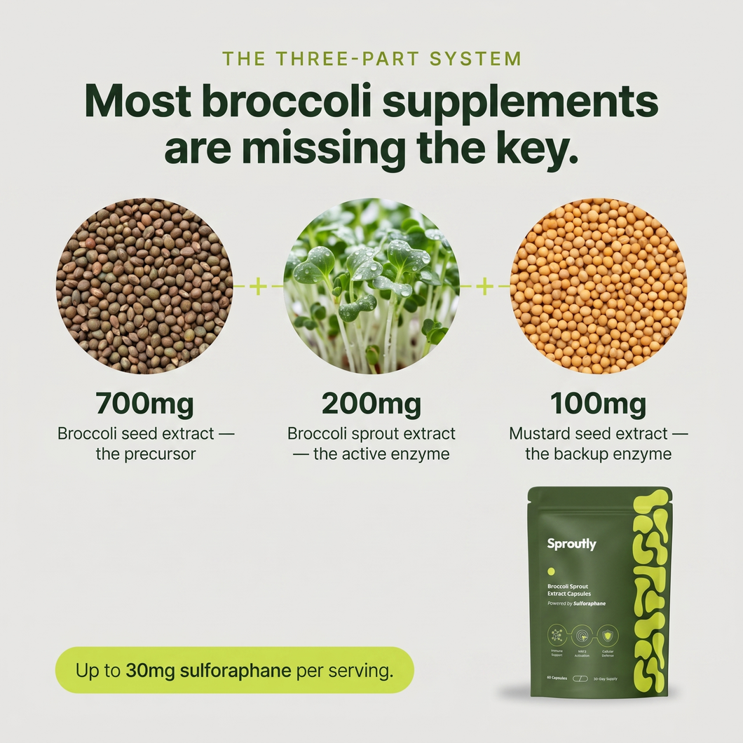 Broccoli Sprout Extract 60 Capsules